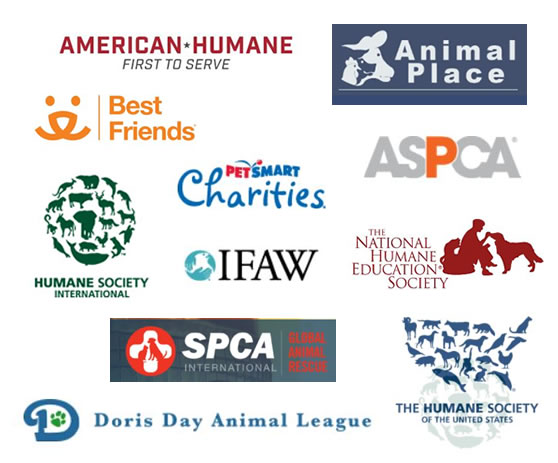 Animal Rights, Welfare and Wildlife Organizations - Mainly Vegan