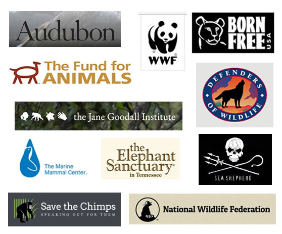 Animal group logo collage (Wildlife) - Mainly Vegan
