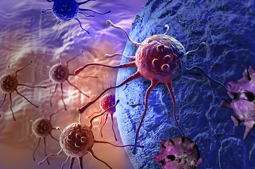 Cancer cells in the human body