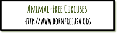 Link to animal-free circuses