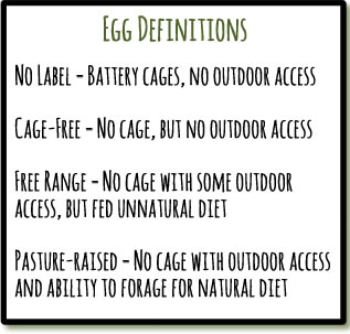 Mainly Vegan's egg definitions