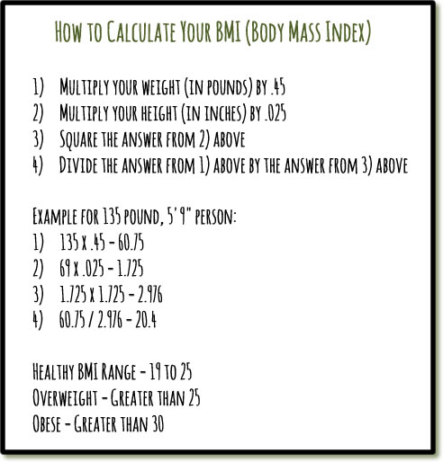 Mainly Vegan's equation for calculating body mass index (BMI)