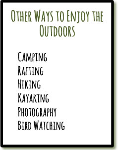 Mainly Vegan's suggestions for other ways to enjoy the outdoors besides hunting and fishing