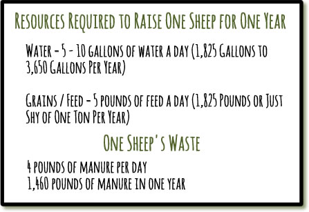 Mainly Vegan's overview of resources required to raise one sheep for one year