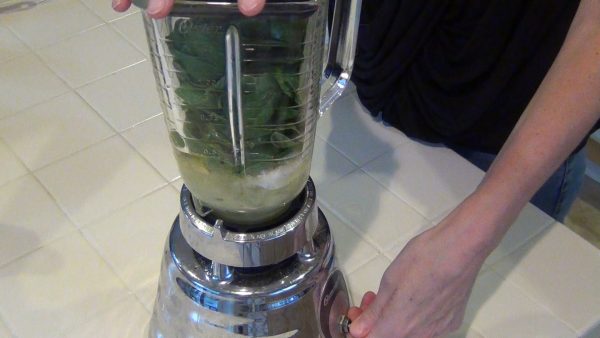 Combine all of the ingredients in a blender until well mixed.