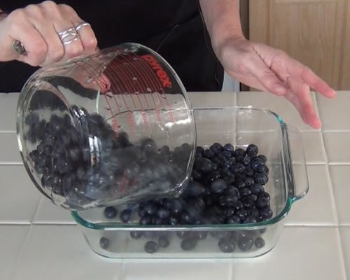 Arrange the blueberries in an 8 x 8-inch baking dish (ungreased).