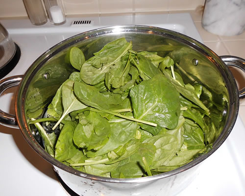 Steam the spinach until cooked; drain, cool, and chop the spinach.