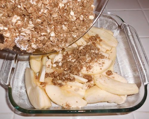In a medium bowl, mix the remaining ingredients and sprinkle over the apples; bake at 375 degrees for about 30 minutes or until the topping is golden brown and the apples are bubbly.