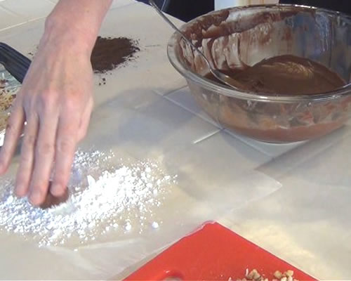Shape the mixture into one-inch balls; roll the balls into the nuts, powdered sugar and/or coconut.