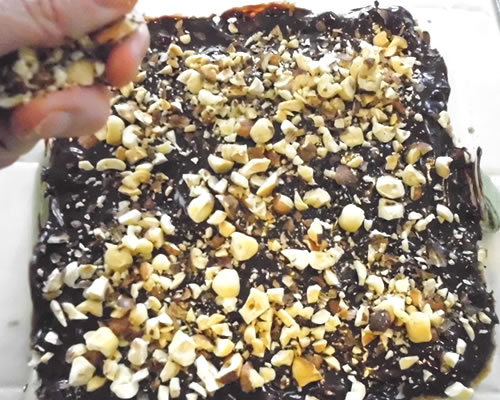 Pour the chocolate over the still warm baked cookie crust; spread evenly and sprinkle with the hazelnuts. Allow to cool and set; cut into squares.