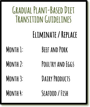 Mainly Vegan's Gradual Plant-Based Diet Transition Guidelines